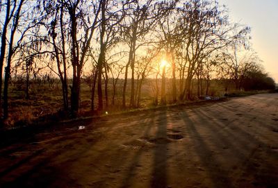 Road amidst trees against sky during sunset