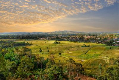 Scenic view of agricultural field against sky