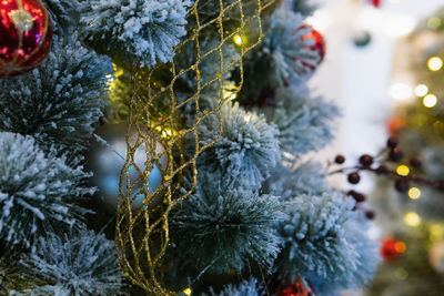 Close-up of christmas tree during winter