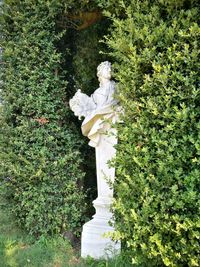 Statue against trees and plants