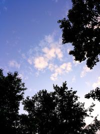 Low angle view of trees against cloudy sky