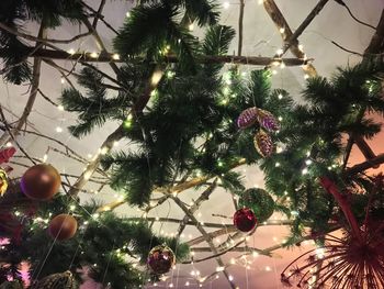 Low angle view of christmas tree against sky