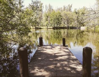 Scenic view of lake in forest against sky