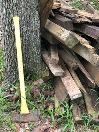 High angle view of wooden logs in forest