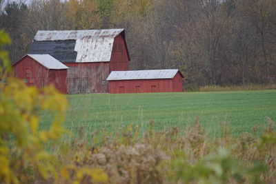 Barn on field against buildings