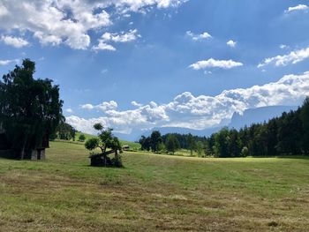 Trees on field against sky
