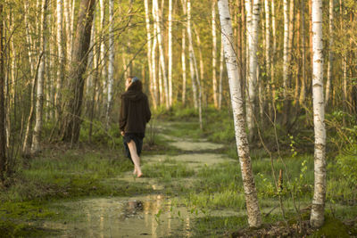 Rear view of woman walking in swamp against trees at forest