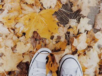 Low section of person standing on field covered with leaves during autumn