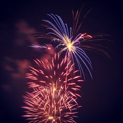 Low angle view of firework display at night