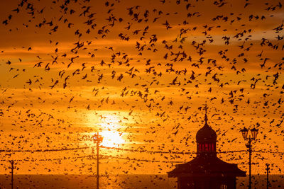 Low angle view of birds flying against sky