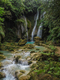 Scenic view of waterfall in forest