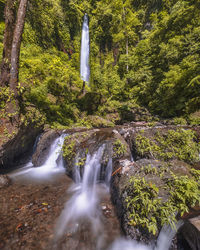 Scenic view of waterfall in forest