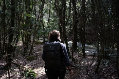 Rear view of woman walking in forest