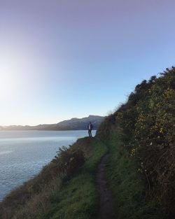 Rear view of person walking on shore against clear sky