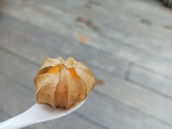 High angle view of cape goosberry on table