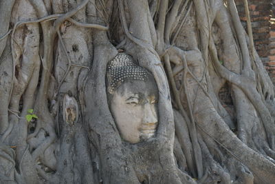 Statue of angel and tree against building