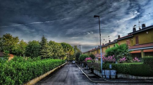 Empty road along plants and buildings