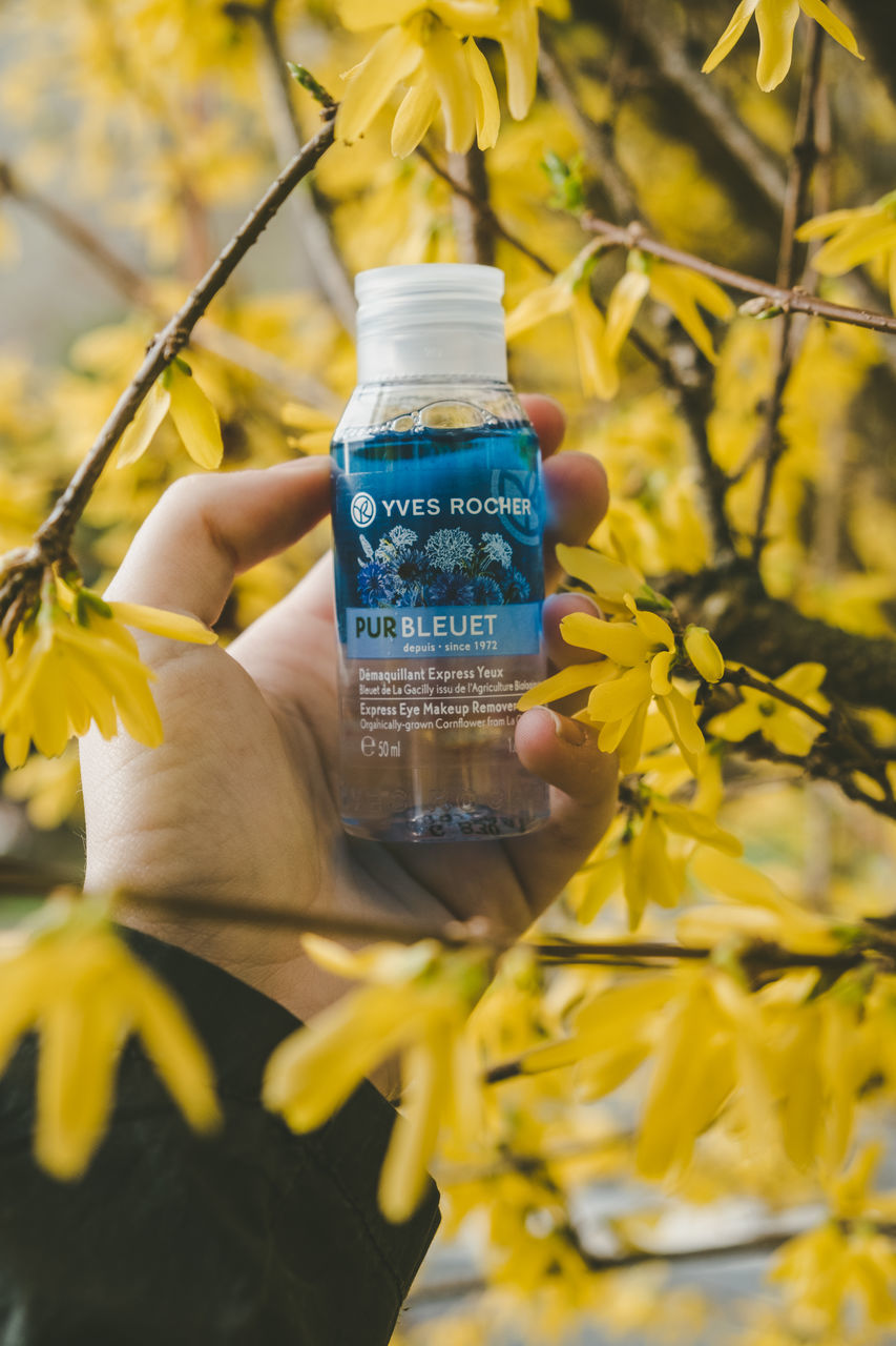 plant, yellow, human hand, flowering plant, growth, holding, flower, one person, nature, real people, hand, beauty in nature, human body part, selective focus, day, close-up, bottle, freshness, container, focus on foreground, outdoors, finger