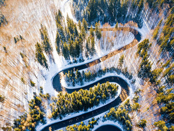 High angle view of road amidst trees in forest