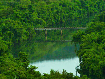 Scenic view of lake in forest