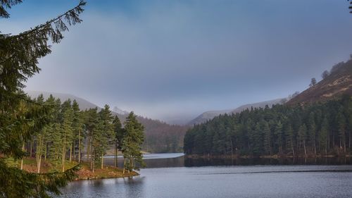 Scenic view of lake by trees against sky