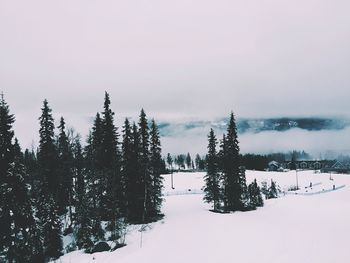 Snow covered landscape