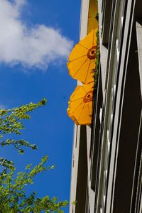 Low angle view of yellow flower against sky