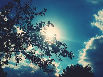 Low angle view of trees against blue sky