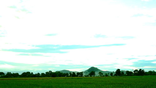 Scenic view of field against sky