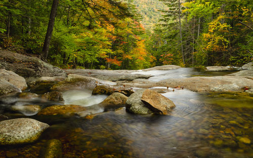 Autumn colors over a river in new hampshire