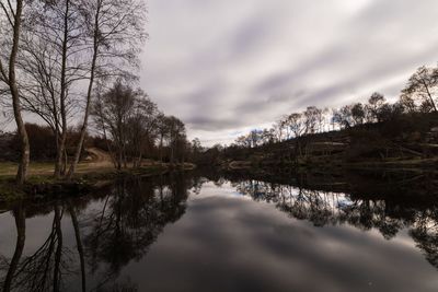 Reflection of trees in lake against sky