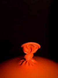 Close-up of red flower over black background