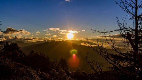 Sunlight streaming through silhouette plants against sky during sunset
