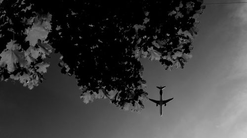 Silhouette trees against sky