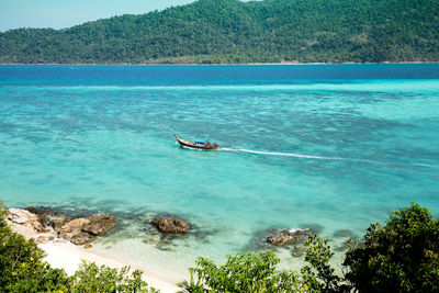 High angle view of sea and trees
