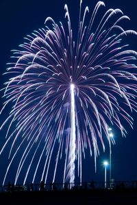 Low angle view of firework display at night