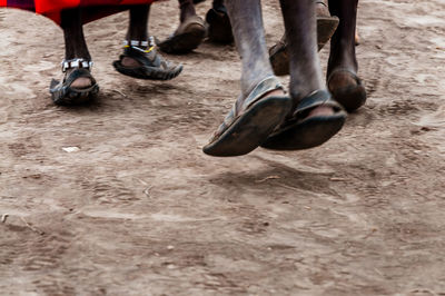 Low section of people standing on land