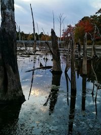 Reflection of clouds in water