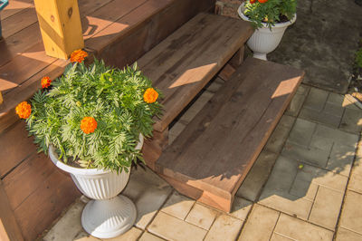 High angle view of potted plants on table