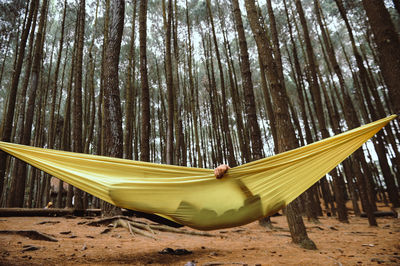 Person relaxing on hammock in forest