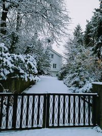 Snow covered railing by trees against sky