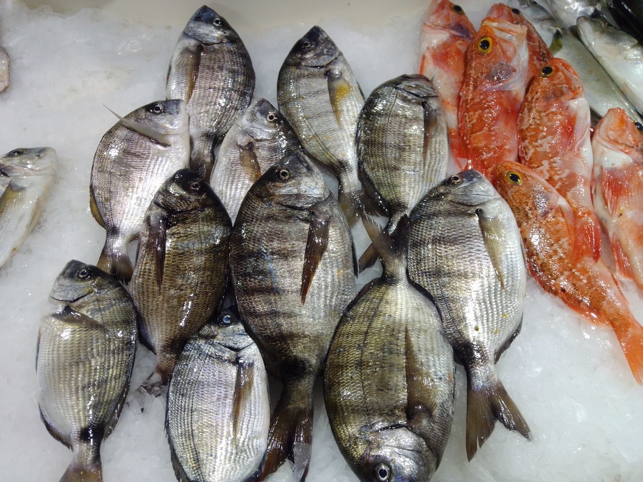 HIGH ANGLE VIEW OF FISH IN MARKET