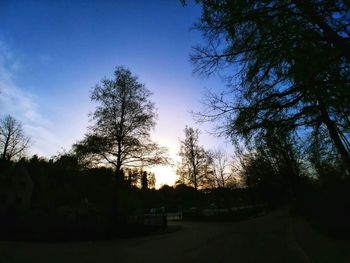 Silhouette trees against sky during sunset