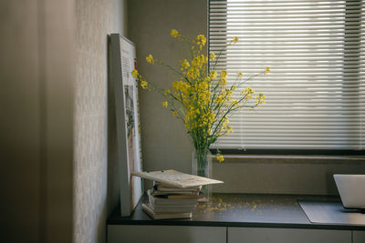 Potted plant on window