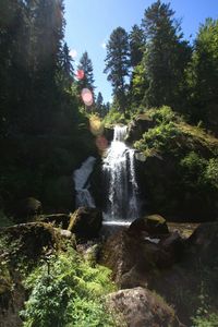 Scenic view of waterfall in forest against sky