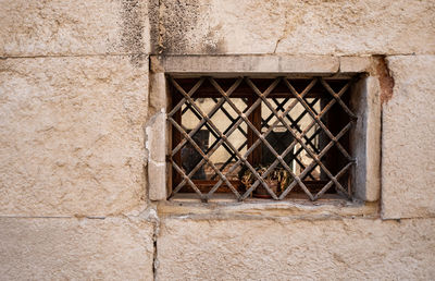 Window of old building