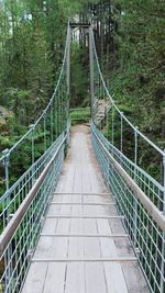 Empty footbridge in forest