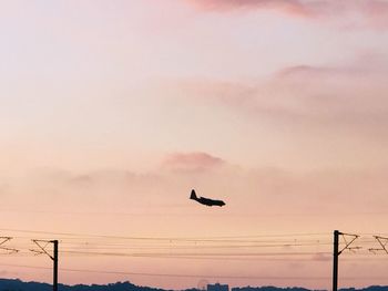 Low angle view of silhouette birds against sky during sunset