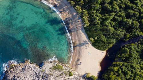 High angle view of tropical beach