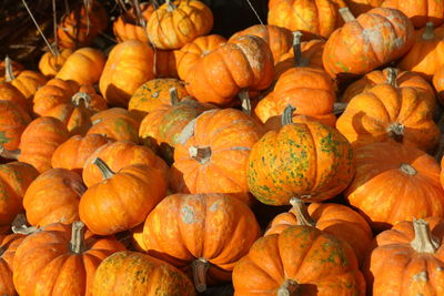 Full frame shot of pumpkins for sale at market stall